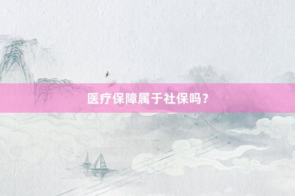 医疗保障属于社保吗？